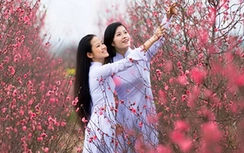 Tết Nguyên Đán 2016 sẽ có 3-4 đợt rét