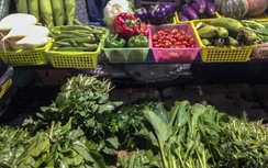 Miền Bắc tiếp tục rét, giá rau xanh tăng gấp 2-3 lần