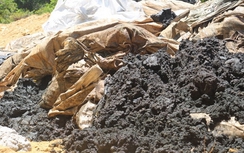 Chất thải Formosa chôn lấp có chứa xyanua