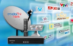 Vụ Mobifone mua AVG: Thanh tra Chính phủ nói gì?