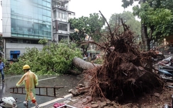 Dự báo bão số 3 không sát thực tế, dân mất niềm tin