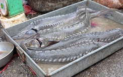 Nghịch lý: Thủy sản, rau quả nhập khẩu từ Trung Quốc tăng mạnh