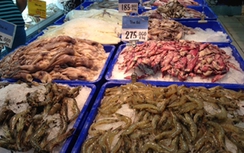 EU cảnh báo 11 lô hàng thủy sản từ Việt Nam