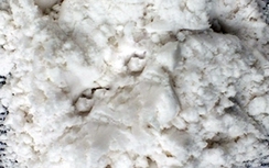 Thêm chất kích thích tăng trọng trong chăn nuôi sẽ bị cấm