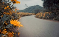 Nghỉ giỗ Tổ, phượt thủ hẫng hụt với thời tiết mưa dông miền Bắc