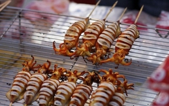 Những món ăn nổi tiếng nhất Nghệ An