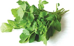 Công dụng chữa bệnh tuyệt vời ít biết của cải xoong