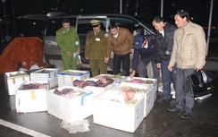 Hà Tĩnh: Bắt tại trận ô tô chở 600 kg nội tạng bốc mùi