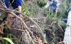 Phát hiện tử thi phân hủy ở dốc Chó Ngáp