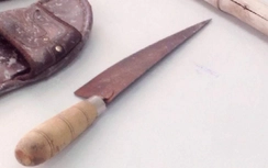 Bắt được tài xế dùng dao đâm chết người rồi bỏ trốn