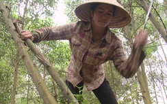 "Cần câu" của người phụ nữ nghèo bất hạnh