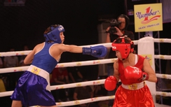 Những trận đấu bán kết boxing “đốt nóng” võ đài Number 1