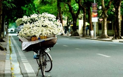 Dự báo thời tiết ngày 19/11: Bắc Bộ chuẩn bị đón không khí lạnh