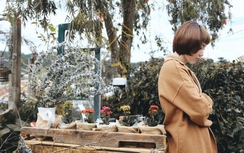 Lời bài hát (Lyric) "Em không là duy nhất" của Tóc Tiên