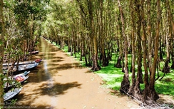 Lật ghe, hai phụ nữ chết đuối thương tâm