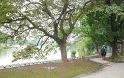 Thời tiết ngày 13/11/2017: Áp thấp nhiệt đới suy yếu, miền Bắc nắng ấm