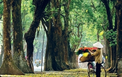 Thời tiết 15/11: Hà Nội giảm nhiệt, miền Trung mưa trên diện rộng