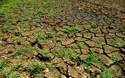 Khô hạn sẽ kéo dài ở Trung và Nam Trung Bộ