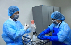 Ca ghép tế bào gốc từ cuống rốn đầu tiên ở Việt Nam