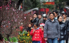 Nhiều bệnh dịch dễ lây lan trong dịp Tết