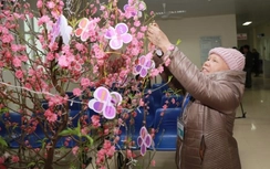 Tăng kíp trực, mang Tết ấm đến với bệnh nhân