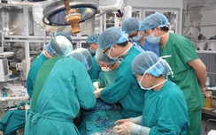 Tiếp tục ghép tạng xuyên Việt thành công