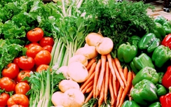 10 quy tắc “vàng” để tránh ngộ độc thực phẩm