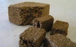 Thu hồi khẩn dược liệu Thần khúc của nhà thuốc Thọ Thế Đường