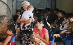 59 người tử vong vì dịch bệnh SXH, viêm não, dại