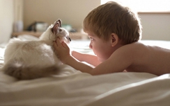 Chơi đùa với chó mèo, bé trai nhiễm virus dại lúc nào không hay