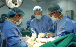 Vợ thiếu tá quyết định hiến tạng chồng giúp 6 người “hồi sinh”