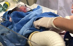 Nghẹn ngào lời cuối "ông bố" xăm trổ dành cho bé Hạo Nam