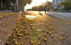 Dự báo thời tiết ngày 21/8: Nắng nóng tái xuất, kéo dài hết tuần