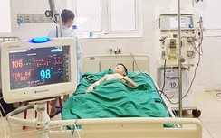 Trèo lên nhà tắm kiểm tra đường nước, bị ong đốt nguy kịch