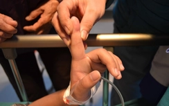 Tá hỏa bé gái khó thở, bất tỉnh sau 1 phút bị kiến đốt