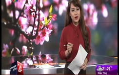 'Sốt' dịch vụ cho thuê Dê chơi Tết Ất Mùi