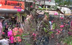 Lạc vào chợ hoa hơn trăm năm tuổi giữa lòng Hà Nội