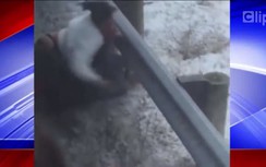 Hành khách xe buýt lao vào "cấu xé" nữ cảnh sát