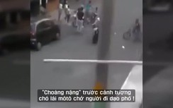 Choáng cảnh chó đèo chủ bằng xe máy phi như bay trên đường