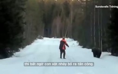 Người đàn ông dọa con gấu dữ bỏ chạy