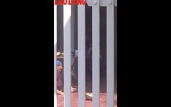 Mẹ liệt sỹ 93 tuổi bị con trai dùng chổi đánh gây phẫn nộ