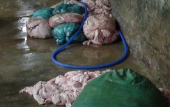 Phát hiện lò chế biến 600kg mỡ thối tại Đà Nẵng