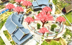 Ngắm hoa Anh đào tại lễ hội Hanami Đà Nẵng