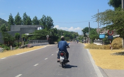 Cảnh báo tình trạng phơi rơm, thóc trên đường gây nguy cơ TNGT