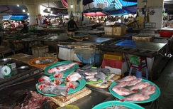 Đà Nẵng sắp có 4 xe chuyên dụng "soi nhanh" an toàn thực phẩm