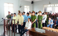 Xét xử vụ phá rừng lớn nhất Đà Nẵng