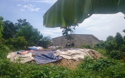 Chủ tịch Đà Nẵng: “Xử lý tới bến” công ty chôn lấp rác thải