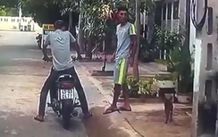 Đà Nẵng: Hai thanh niên thản nhiên trộm chó bằng tay không