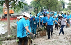 Đà Nẵng: Trèo cây tỉa cành, Bí thư chi bộ xã ngã tử vong