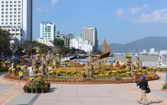 Nhộn nhịp đường hoa Đà Nẵng chiều cuối năm